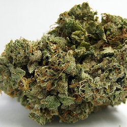 Order Liberty Haze Strain